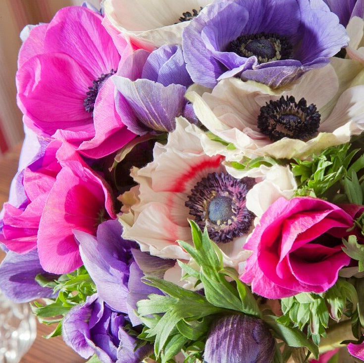 Bouquet d’anémones fraîches aux couleurs naturelles